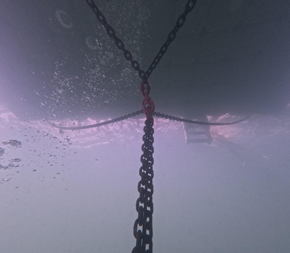 Camping Bergwitzsee - SunnyDock H